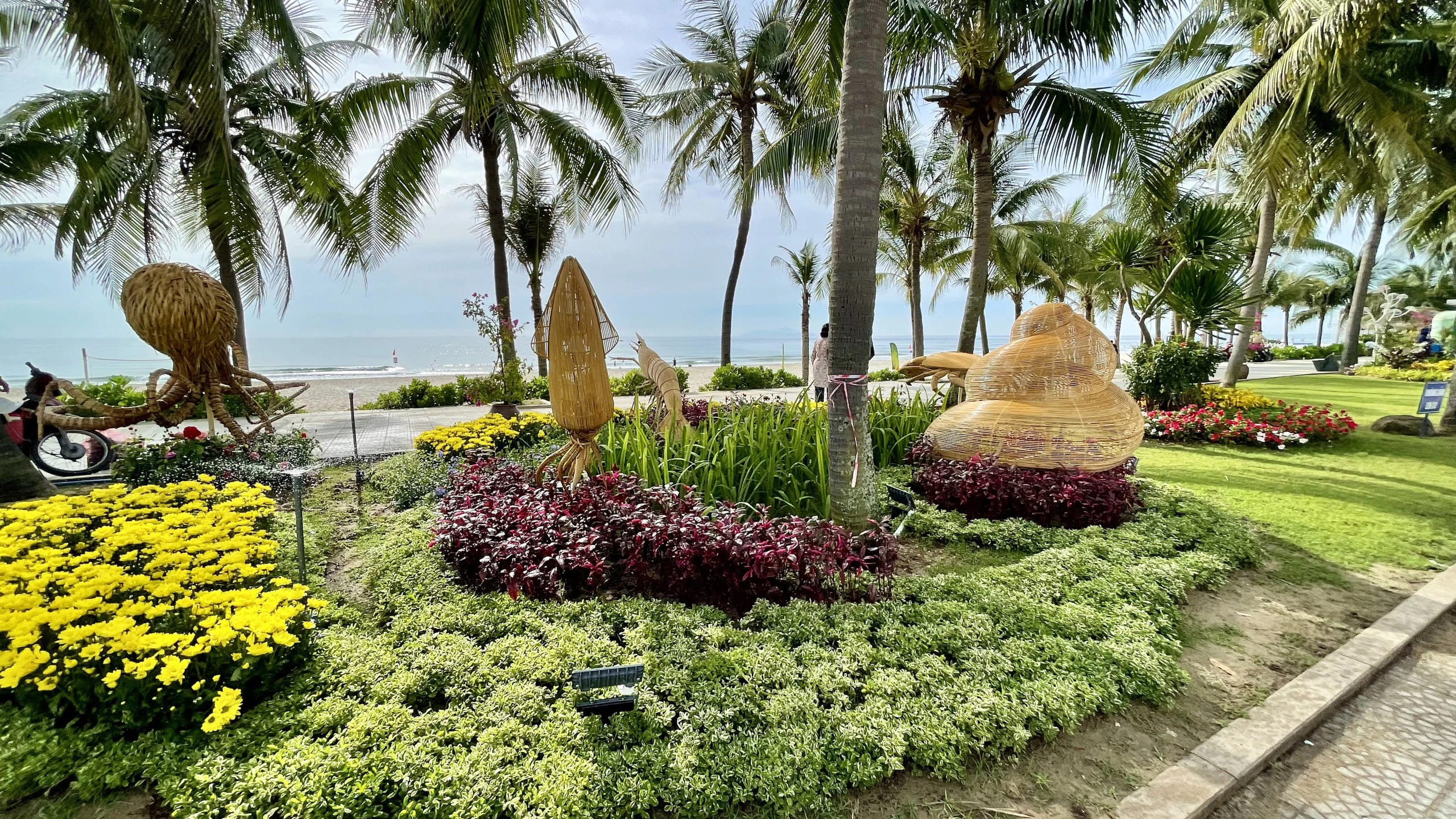duong-hoa-bien-da-nang-2024-3