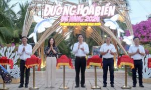 Đường Hoa Biển Đà Nẵng 2024 Điểm Check-in Mới Hấp Dẫn